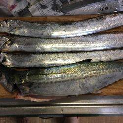 めっちゃ悔しい