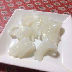 コウイカ狙って