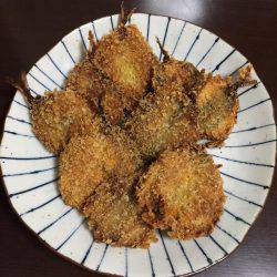 初めての魚釣り