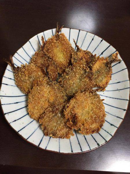 初めての魚釣り