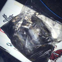 サイズに恵まれなく