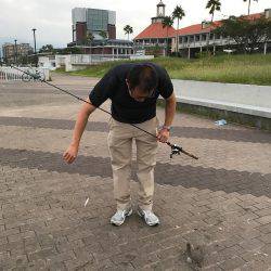 連チャンポーズからの中アジ♫