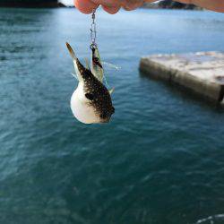 デイのライトゲーム