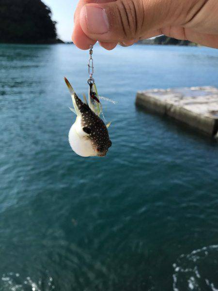 デイのライトゲーム