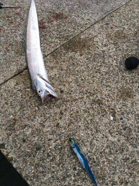 朝まづめショアジギング