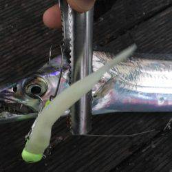 大阪奥湾ワインド ワインドチェイス