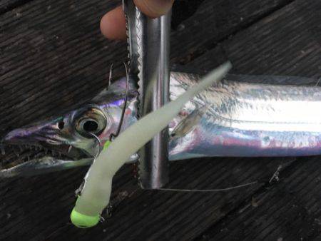 大阪奥湾ワインド ワインドチェイス