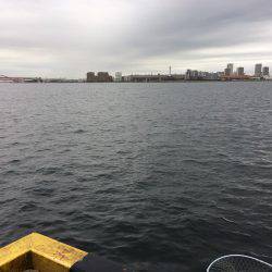 ショアジギング