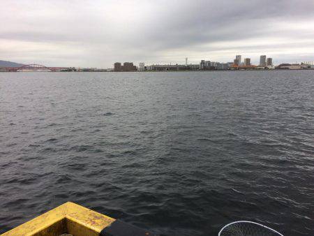 ショアジギング