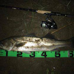 落ち鮎パターン