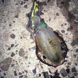 癒されに行ったはずが!