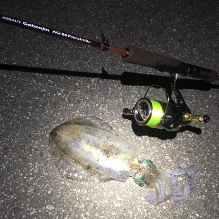 楽しく釣れました