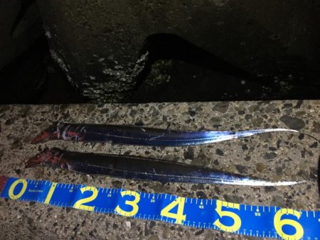 夕まずめワインド