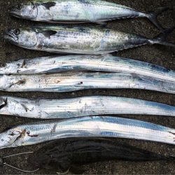 青色 銀色 茶色のん