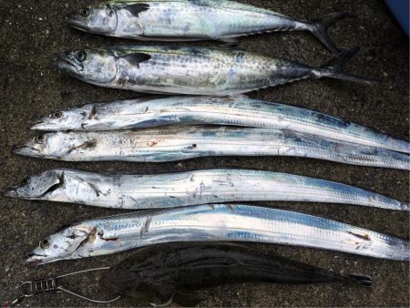 青色 銀色 茶色のん