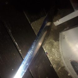 サイズアップを期待