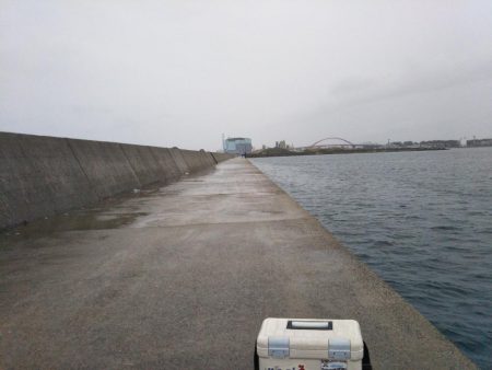 雨の降る中タチウオ狙い。