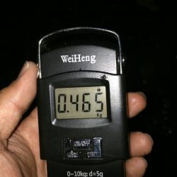 雨予報でも降らないよね