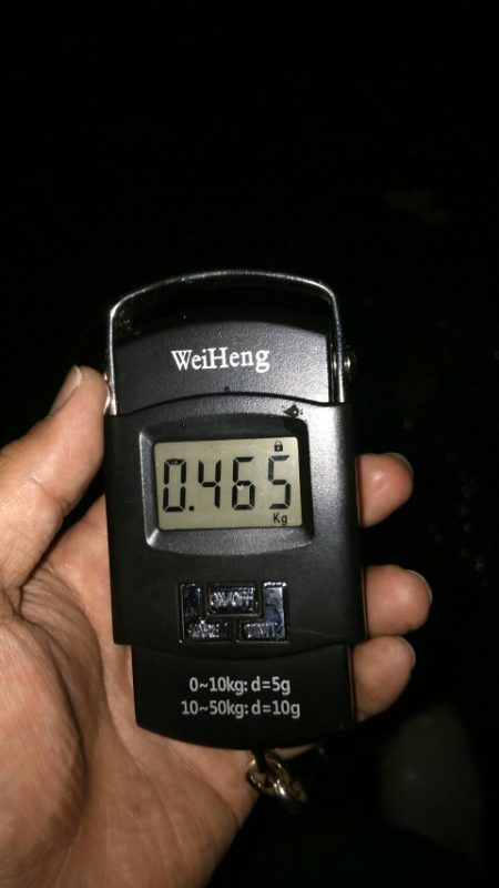 雨予報でも降らないよね