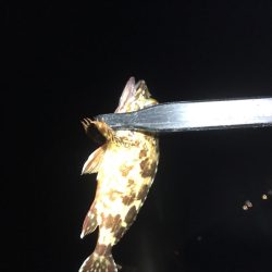 土砂降りでしたが楽しめました。