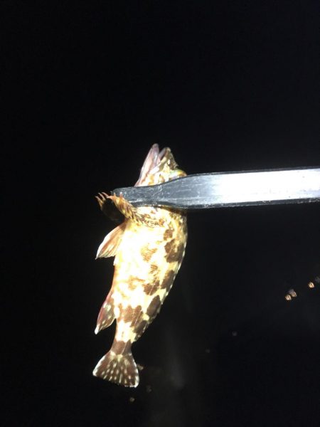 土砂降りでしたが楽しめました。