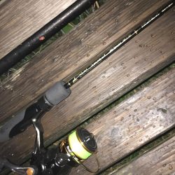 ニューロッドに鱗付！ アジング