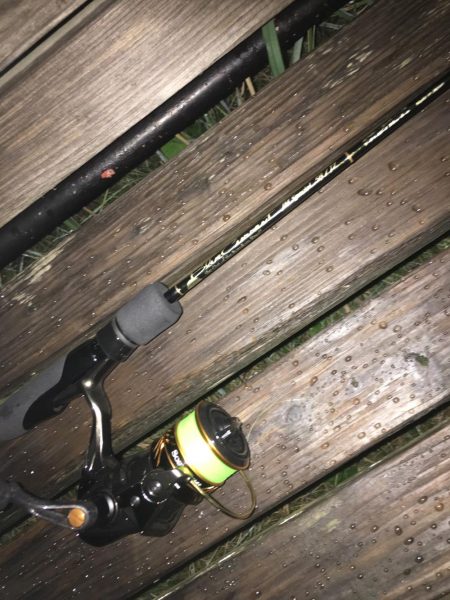 ニューロッドに鱗付！ アジング