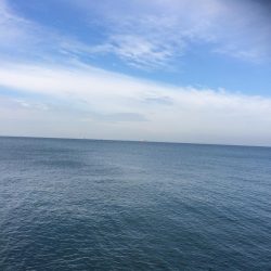 朝練してきました