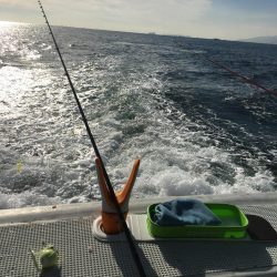 カワハギ船釣り