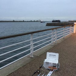 風が強くなってきました