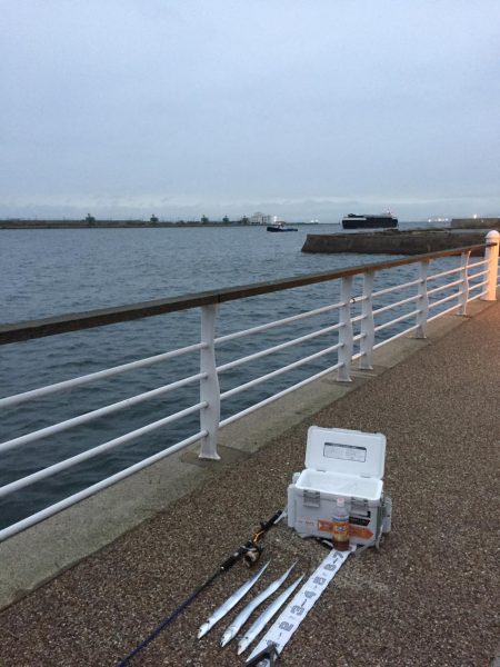 風が強くなってきました