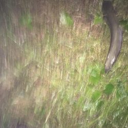 テスト勉強の息抜き。