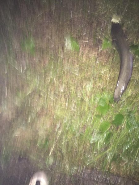 テスト勉強の息抜き。