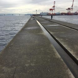 ポーアイ沖堤ショアジギング