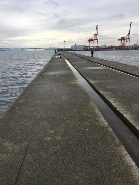 ポーアイ沖堤ショアジギング