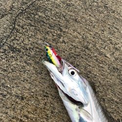 昼太刀イレブン