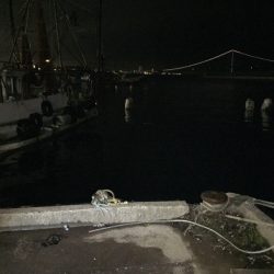 雨か降る前にエギング、アジング