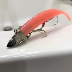 嵐の前のタチウオ調査