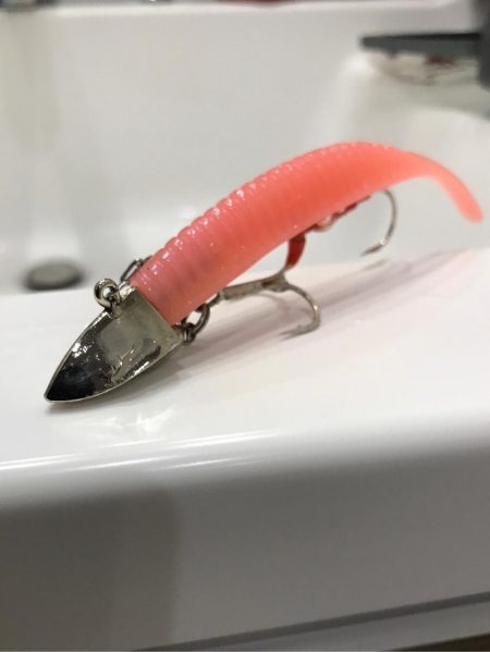 嵐の前のタチウオ調査