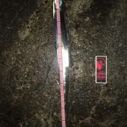 シーバスのはずが(^^;