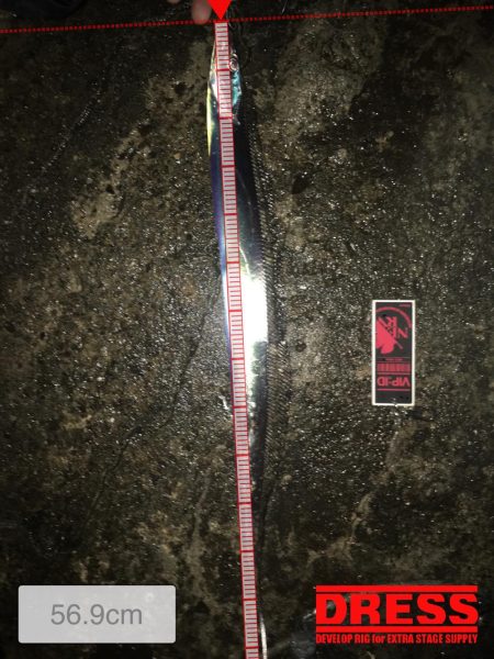 シーバスのはずが(^^;