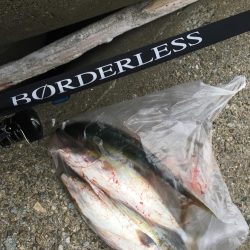 これぞ台風後の…?