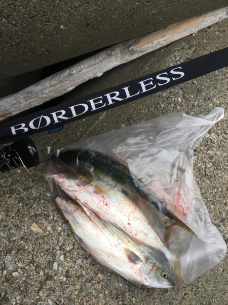 これぞ台風後の…?