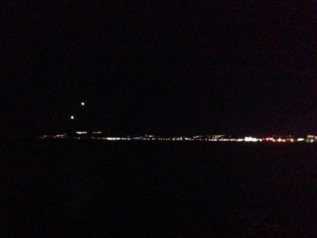 アジの群れ知りませんか？