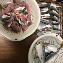 鳴尾浜海釣り広場