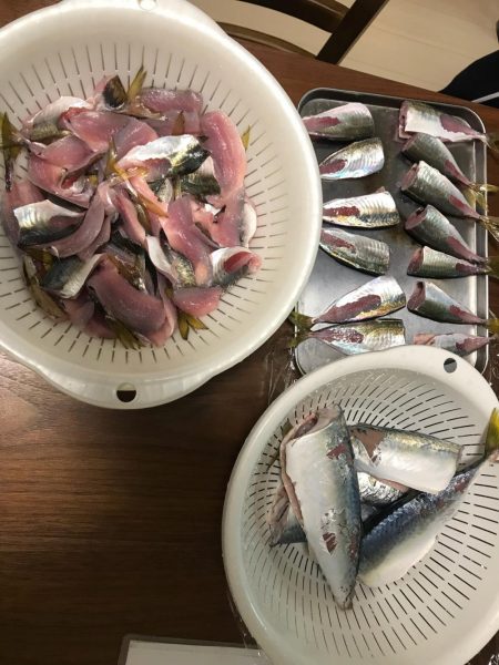 鳴尾浜海釣り広場