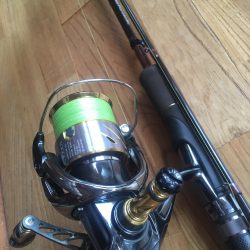 育ってます(o^^o)