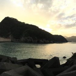 日和佐赤灯台 ハマチ 47cm