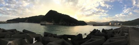 日和佐赤灯台 ハマチ 47cm