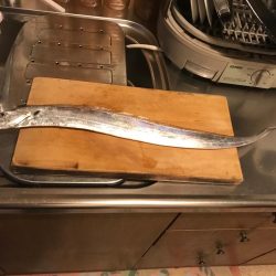 タチウオゲット！